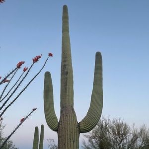 Meet your Posher, Hana